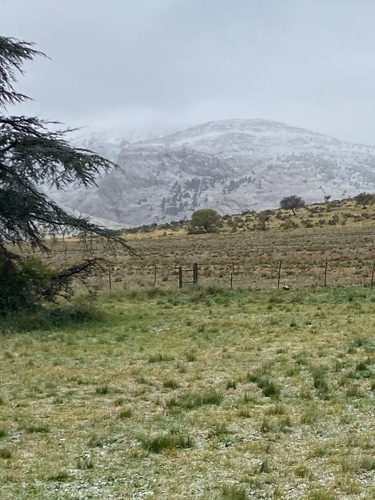 Nevó en Sierra de la Ventana y la zona: las imágenes del paisaje blanco