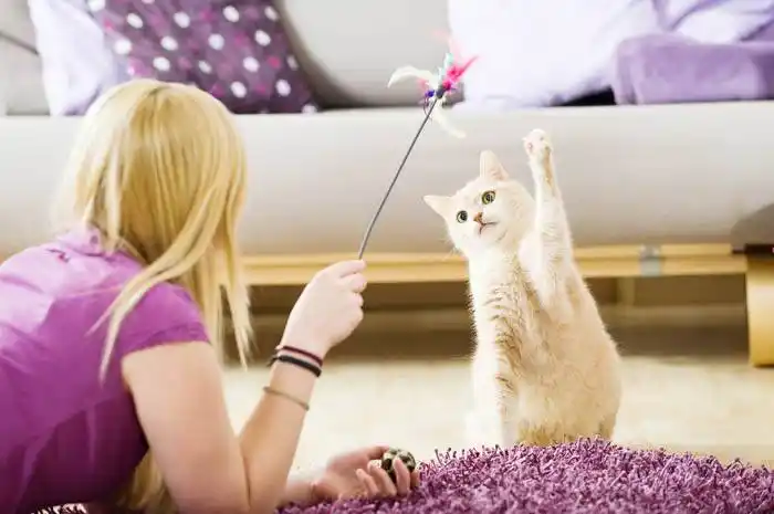 ''Puppis'': tips para el cuidado de los gatos cuando se recupere la �Snormalidad⬝