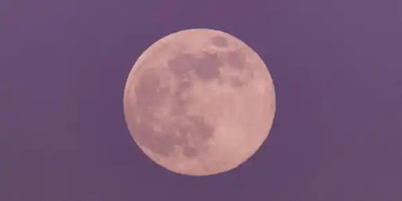 ¿CONOCES la Luna rosa? Te contamos cómo y cuándo verla
