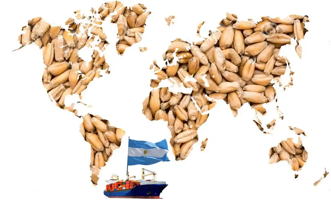 El complejo mercado de trigo