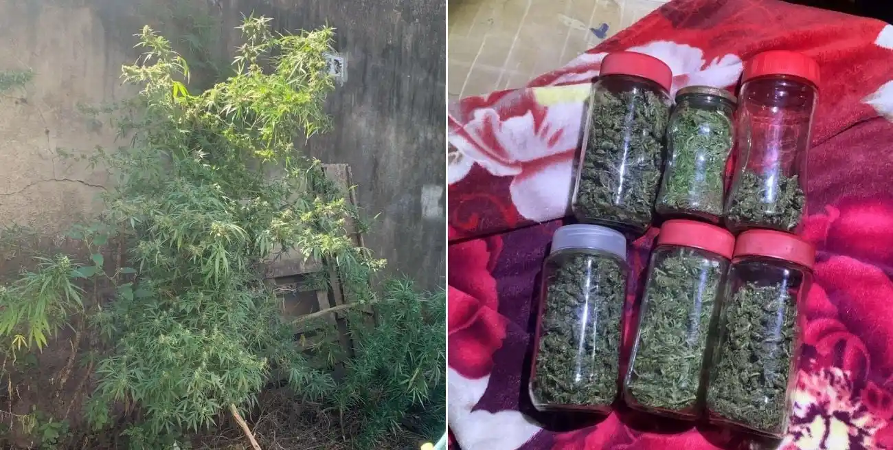 Hallaron frascos de vidrio y cajas de cartón con marihuana tras la denuncia de unos vecinos