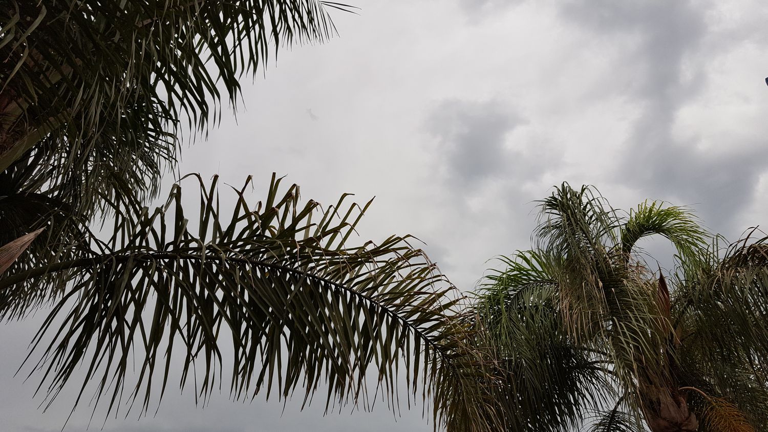 El Servicio Meteorológico Nacional emitió dos alertas por granizo