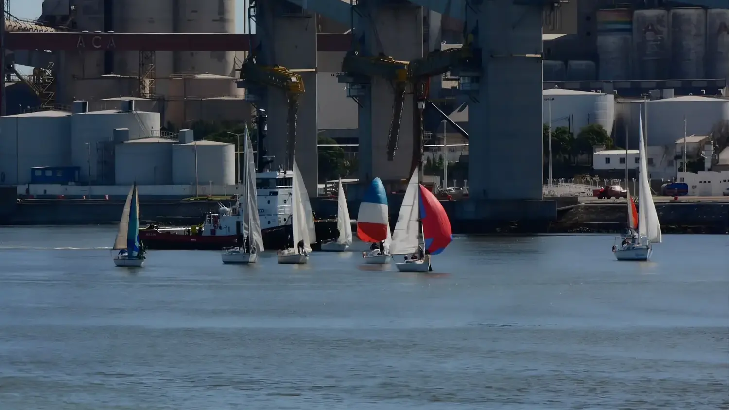 El Club Náutico llevó adelante la regata en su sede Puerto