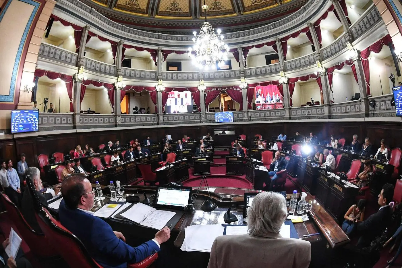 Legislatura: Senado aprobó modificaciones a la Ley de Adopción y declaró personalidad destacada a Rodrigo Palacio