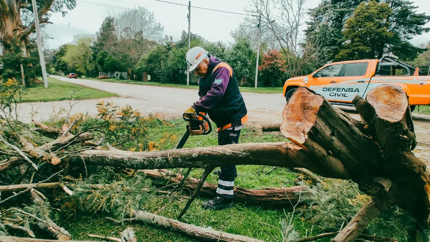 Alerta naranja en Mar del Plata: el Municipio atendió cerca de 100 reclamos por los fuertes vientos