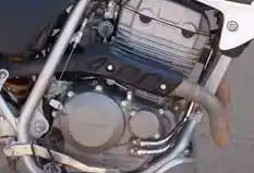 Quiso robar una moto pero el dueño lo redujo