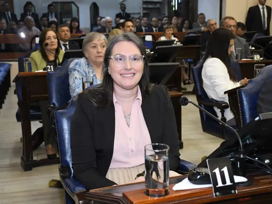 “El aumento de la energía eléctrica es una 
decisión exclusiva del Gobierno nacional”