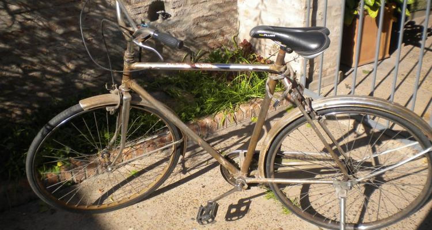 Robaron bicicleta al cura Héctor Molfesa