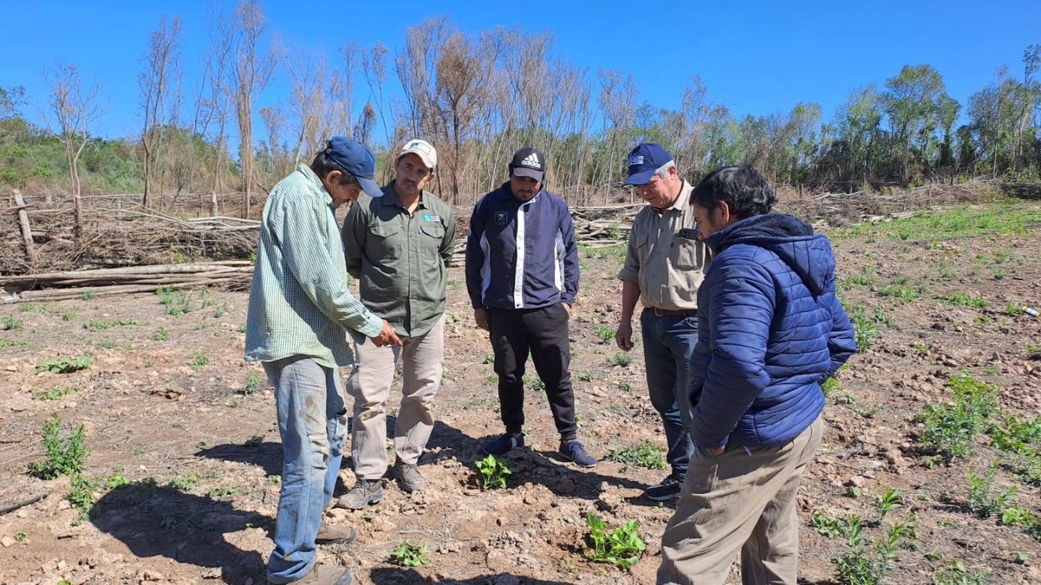 Productores de Sumayén inician las siembras de maíz y cucurbitáceas