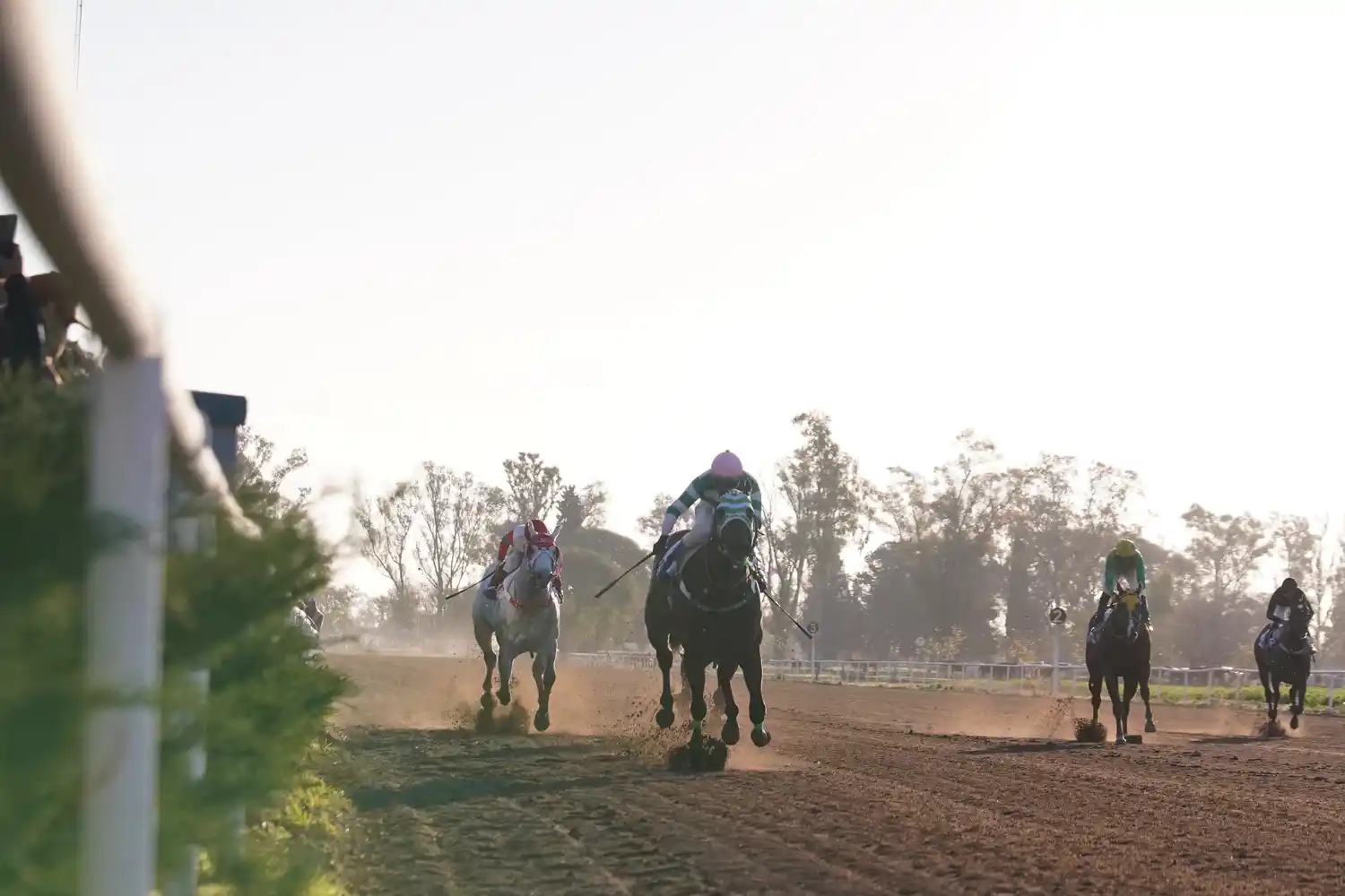 El Jockey Club apuesta a futuro y aumenta su bolsa de premios.