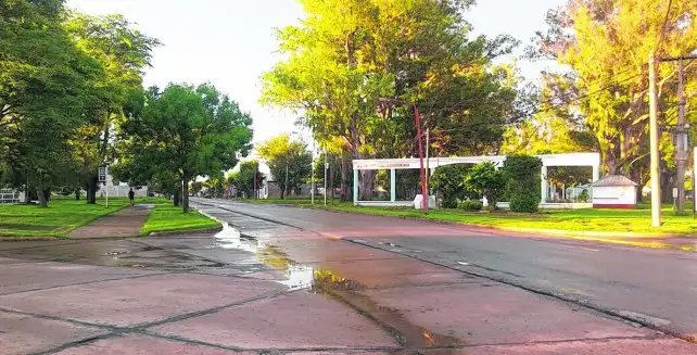 Investigan a una policía por presunto encubrimiento a un narco