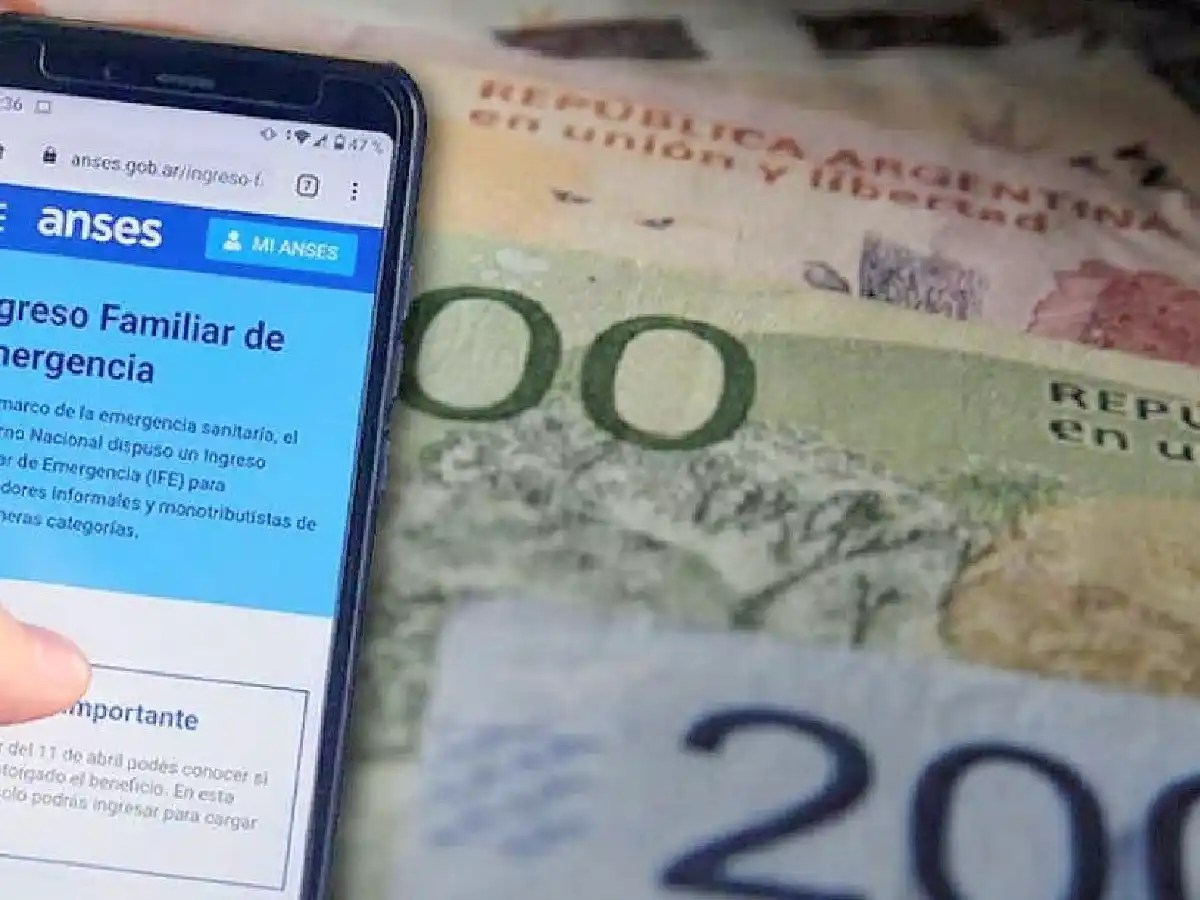 La Anses presentó en la justicia 156 denuncias de fraude por el IFE