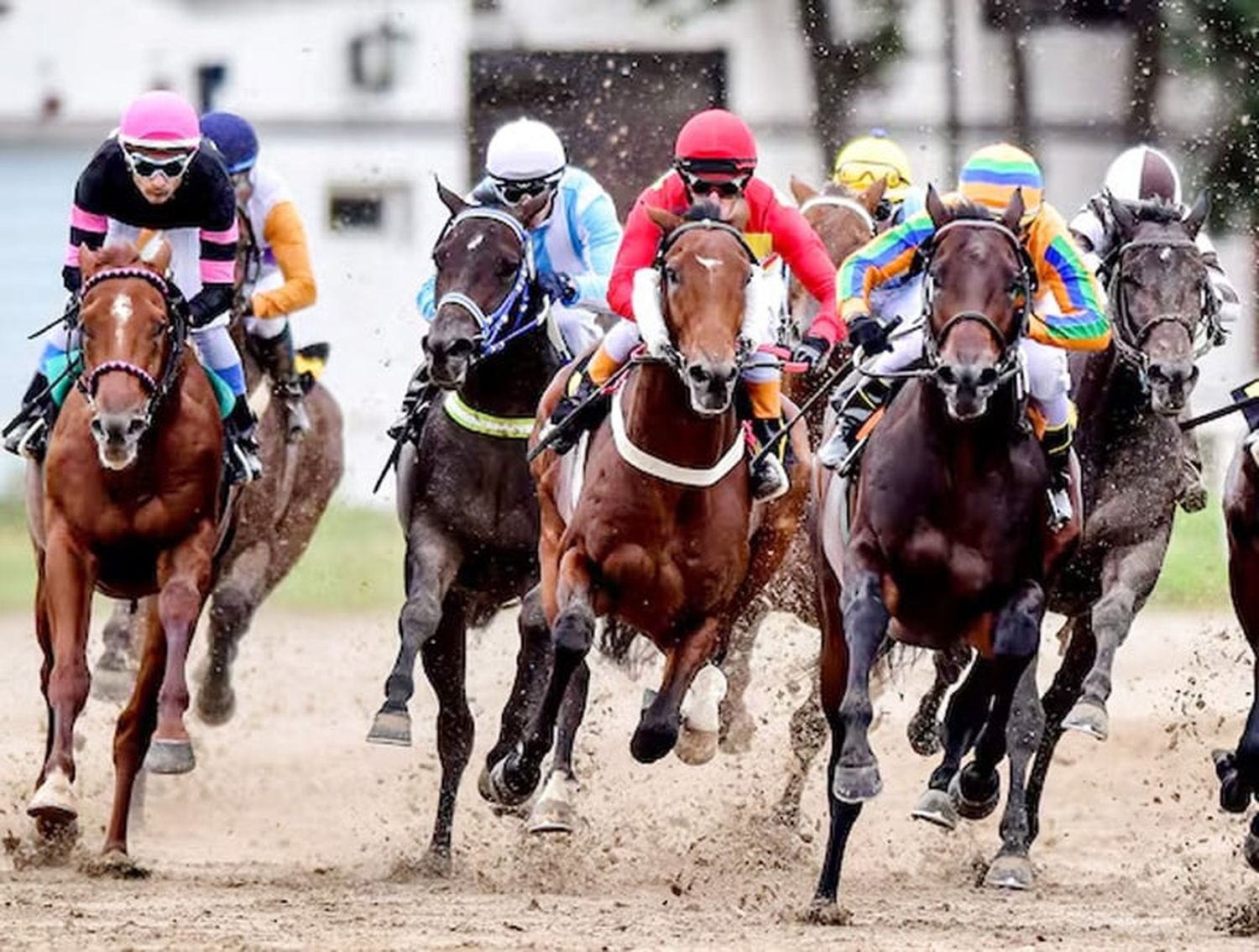 Martes18: Actividad Hipódromo La Plata