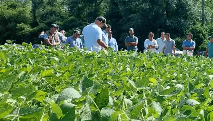 El sector pide reglas claras para producir