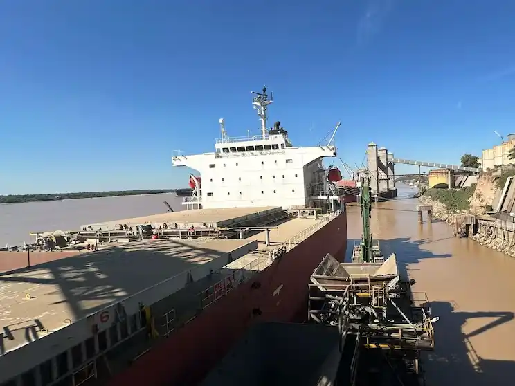 Hallaron 469 kilos de cocaína en un buque proveniente de Emiratos Árabes en un puerto de Santa Fe