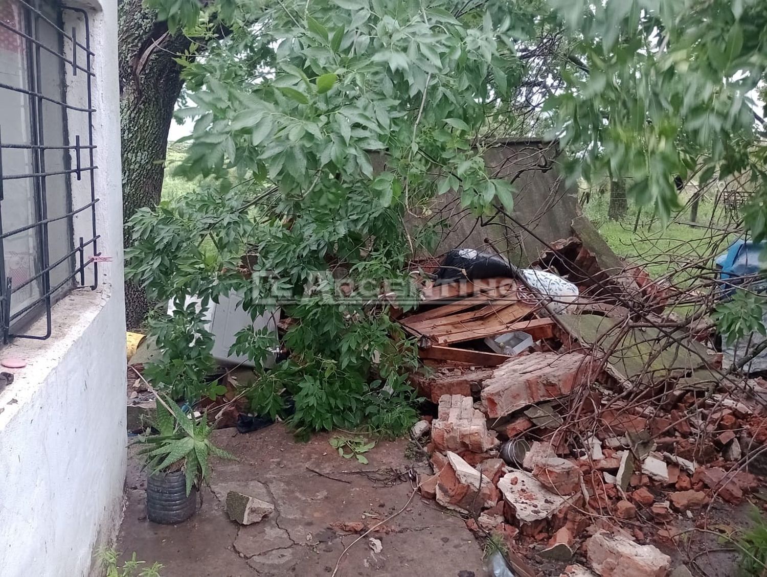 Los fuertes vientos ocasionaron caída de árboles y postes de luz: continúa el alerta naranja