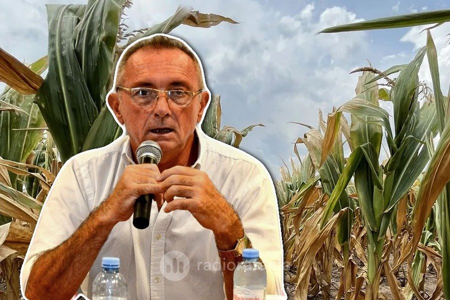 Emergencia agropecuaria: La provincia lanzó nuevas líneas de financiación para productores