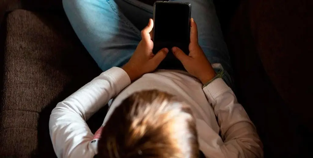 Las redes sociales se convirtieron en un espacio de riesgo para los más jóvenes.