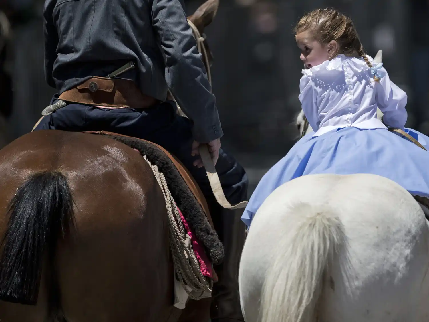 día de la tradición - 1