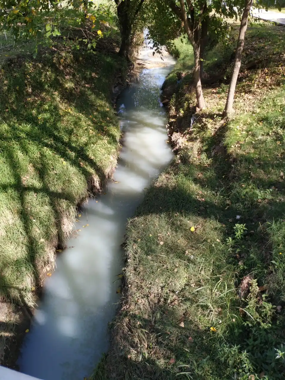 ¿Qué causa los malos olores en el arroyo Crespo?