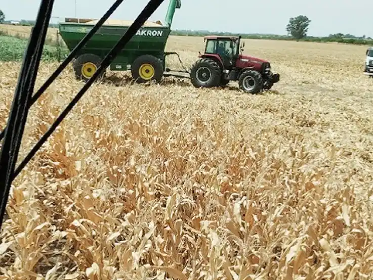 El acuerdo del Mercosur con Europa incluye bajar retenciones en un plazo de 10 años