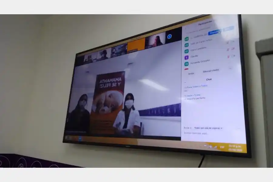 El equipo de Lactancia Materna mantuvo un encuentro con referentes de la Red de Salud Mental Perinatal 