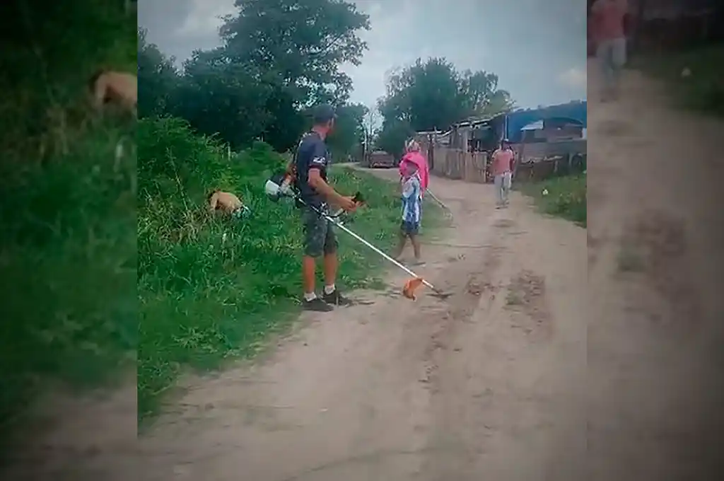 corte pasto asentamiento