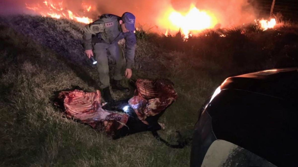 Persecución, tiroteo e incendio en procedimiento por faena clandestina en La Gallareta