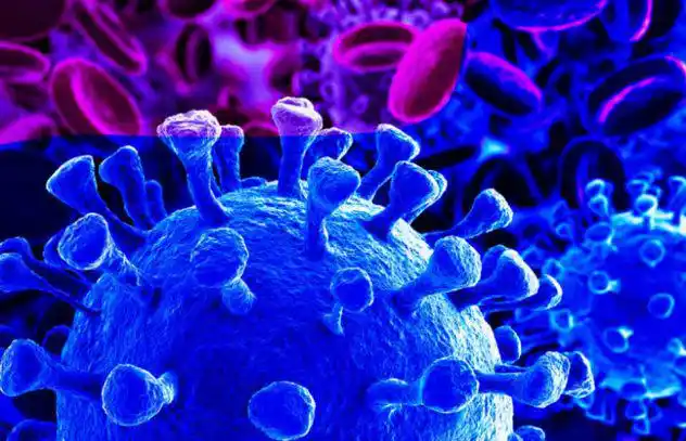 Sin nuevos casos de coronavirus en Gualeguay
