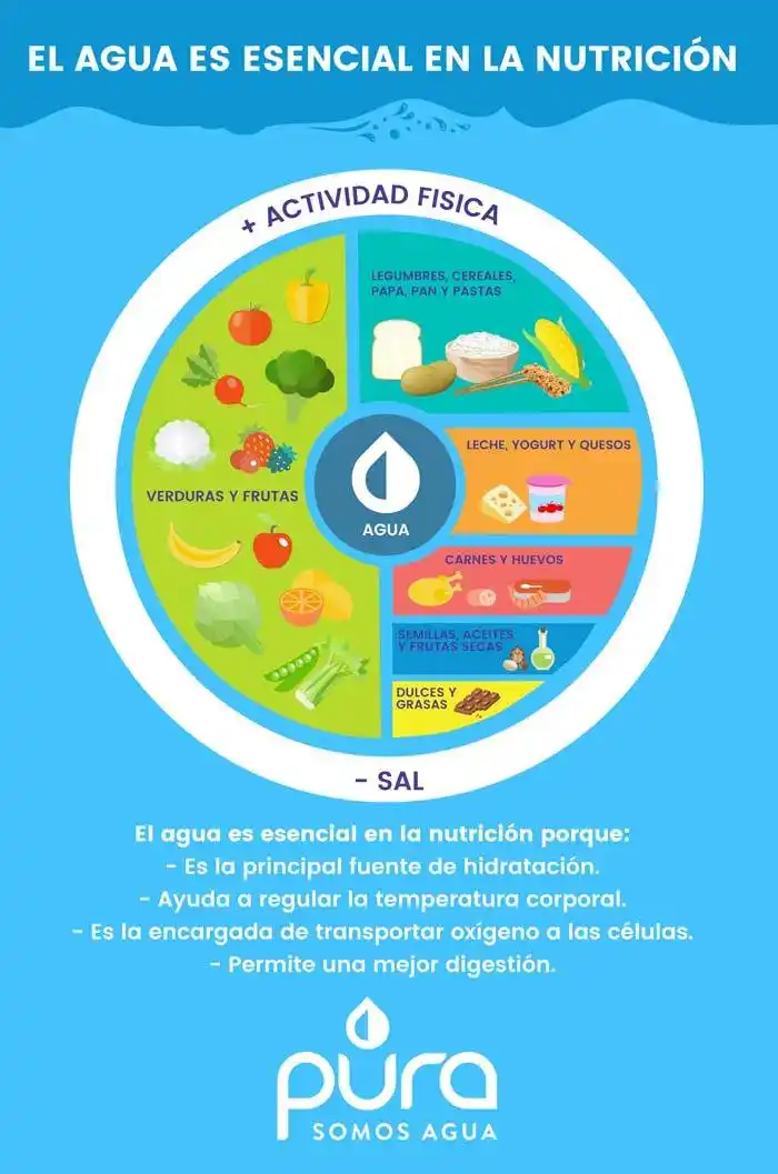 Día del nutricionista: la importancia del agua como alimento
