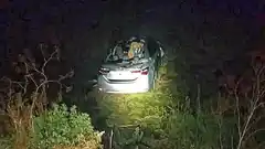 Una mujer de Concordia perdió la vida en Salto cuando el auto en el que viajaba chocó con varios caballos