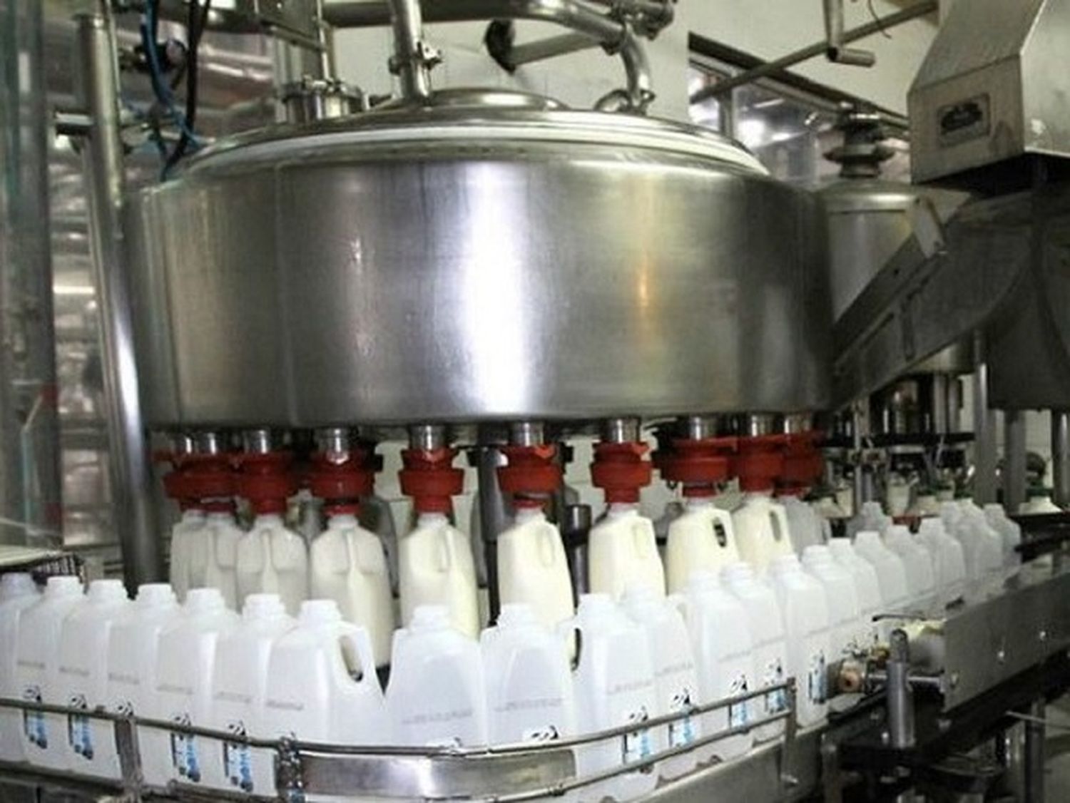 Las cooperativas procesan solo el 3% de la leche en un mercado dominado por multinacionales