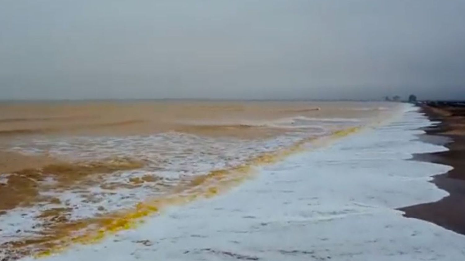 Video:  El mar Negro se tiñó de amarillo frente a las costas de Crimea