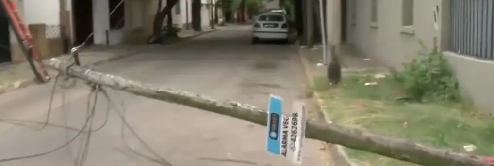 Captura De 12 a 14 (El Tres).