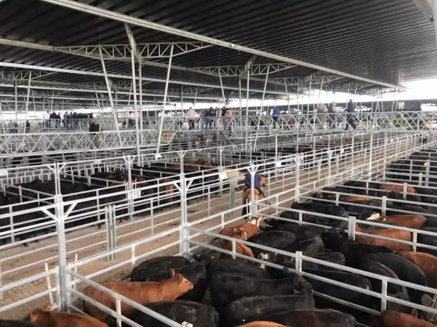 La apertura del MAG se concretaría en marzo
