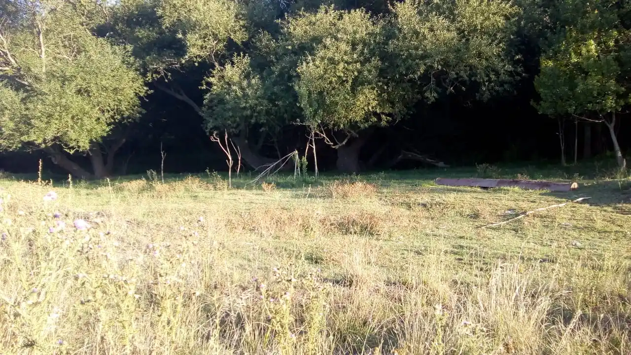 El Paseo del Bicentenario de Azucena se ubicará en las márgenes del arroyo Chapaleofú.