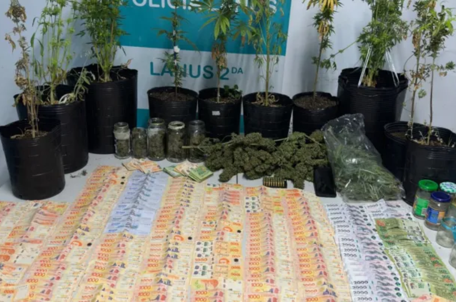 La policía encontró plantas de marihuana, casi 700 mil pesos en efectivo y un teléfono celular.