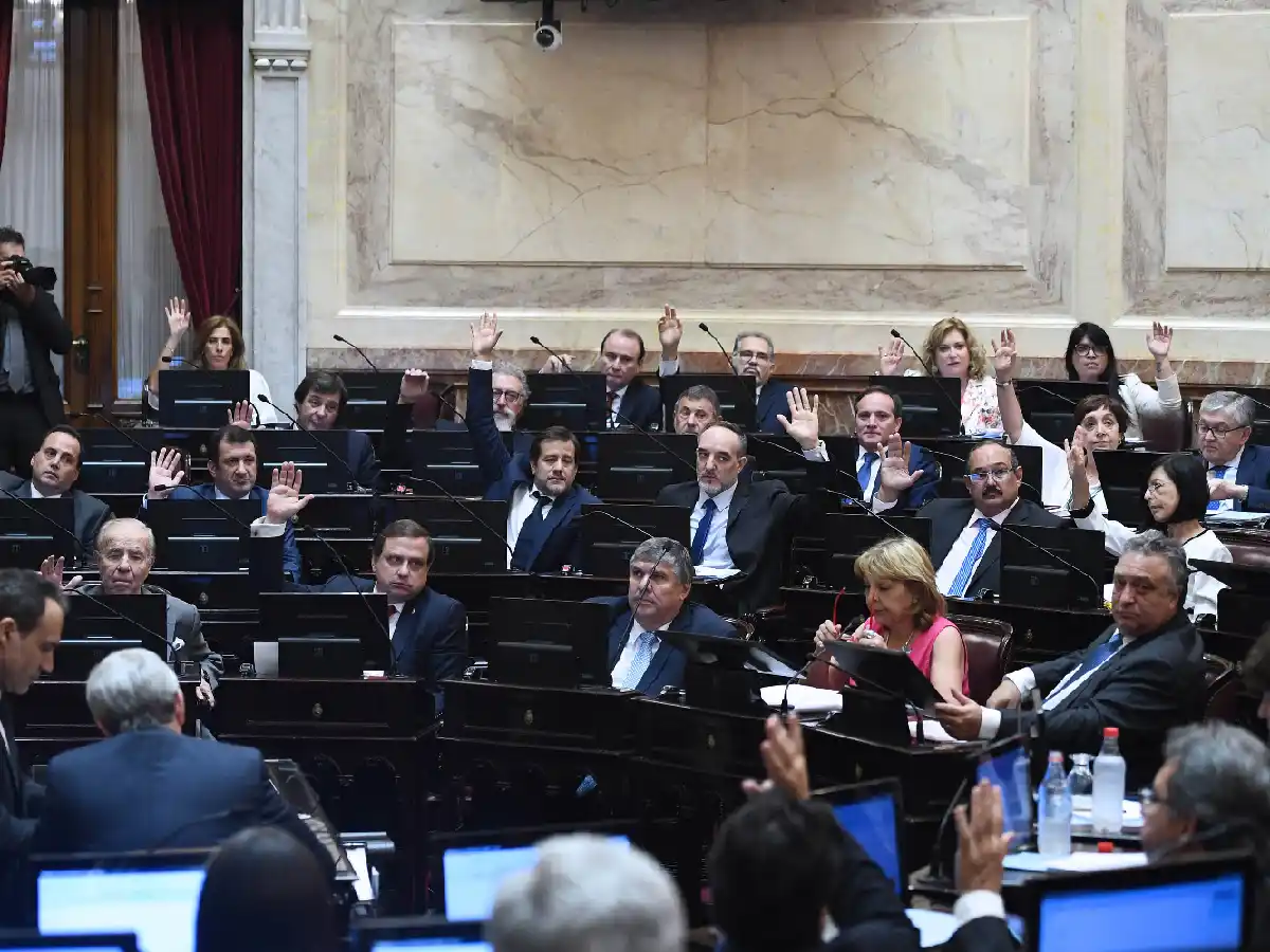 El Senado sancionó la Ley de Góndolas
