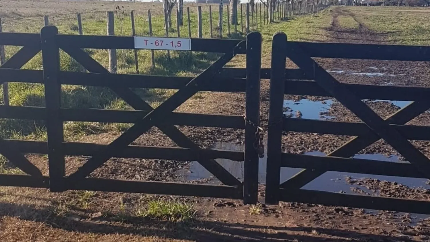 Villa Cañás: robaron una camioneta y herramientas en un campo