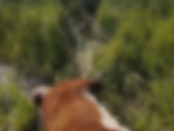 Productores de Iraola sufrieron tres robos en el último mes y medio y reclamaron por mayor seguridad