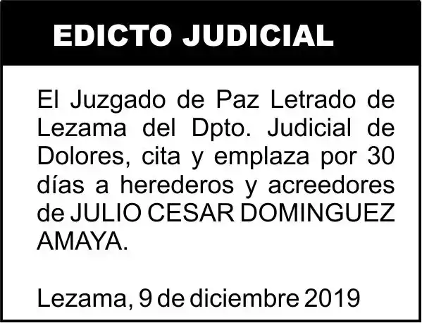 DOMINGUEZ AMAYA JULIO CESAR, S/SUCESION AB-INTESTATO