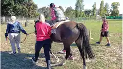 Equinoterapia: reclaman que Entre Ríos tenga una ley