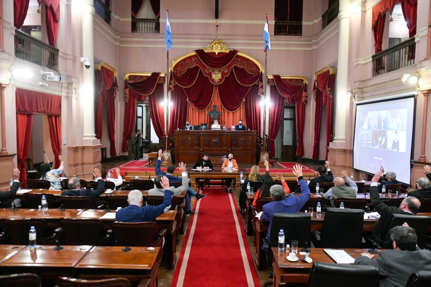 El Senado aprobó la Ley de Enfermería y el Régimen de Protección y Prevención de la Violencia de Género 