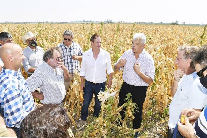 El gobierno entrerriano convocó  a las entidades agropecuarias 