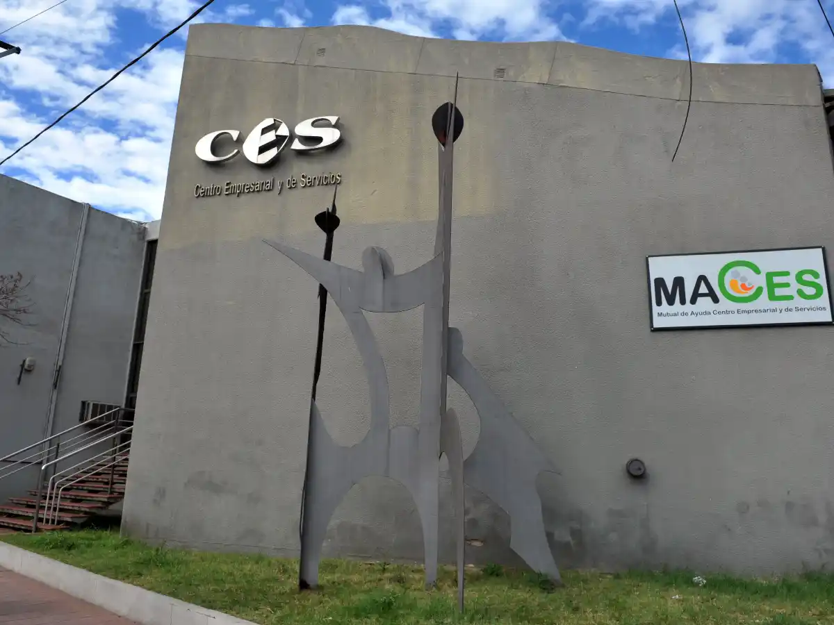 Suspendido el Fosp en el gas, el CES pide analizar la reducción del OIM