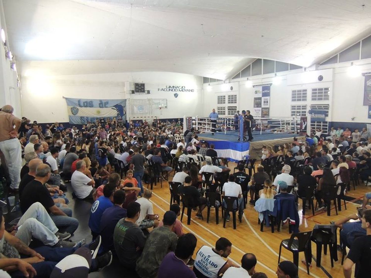 La explosión del boxeo, el deporte que más ha crecido en Mar del Plata