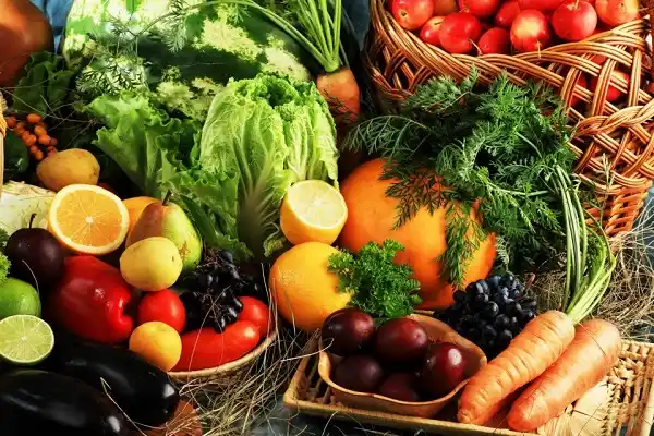 Unas 100 personas conformaron un grupo de alimentación vegetariana y vegana