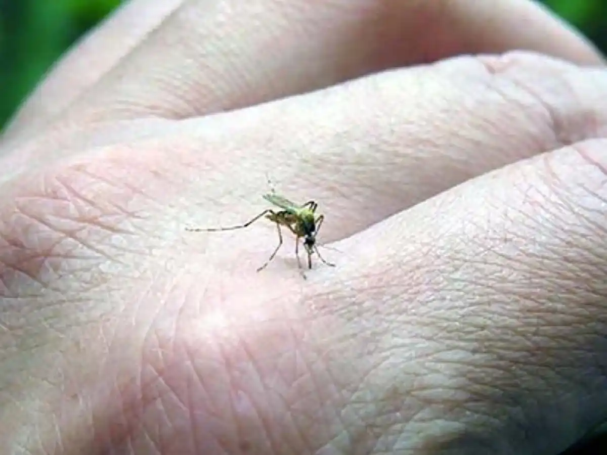 Un vecino de Arroyito también tendría dengue