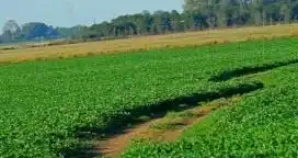 Productores expresaron su preocupación por las subas de hasta 55% en los impuestos