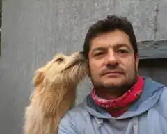 Se solicita al municipio una mayor participación ante las problemáticas generadas por los animales